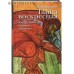 Тайна воскресная. Преподобный Серафим и Дивеево. Леонид Бежин