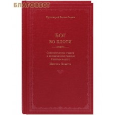 Бог во плоти. Святоотеческое учение о человеческой природе Господа нашего Иисуса Христа. Протоиерей Вадим Леонов
