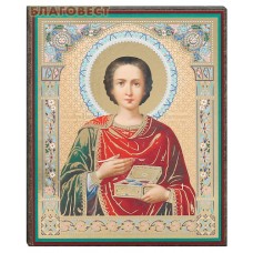 Икона Святой вмч. и целитель Пантелеймон