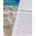 Лесные сказки. Комплект из 4-х книг. Виталий Бианки