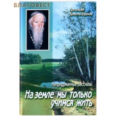 На земле мы только учимся жить. Непридуманные рассказы. Протоиерей Валентин Бирюков