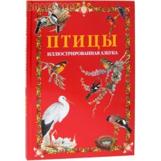 Птицы. Иллюстрированная азбука