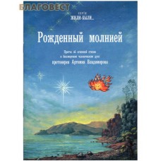 Рожденный молнией. Притча об огненной стихии и бессмертном человеческом духе протоиерея Артемия Владимирова
