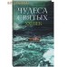 Чудеса святых. XXI век. Сборник писем. Сост. А. В. Поспелов