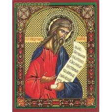 Икона Святой праведный Симеон Богоприимец