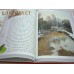 Лепестки. Рассказы, очерки и картинки о природе. Дмитрий Кайгородов
