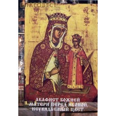 Акафист Божией Матери перед иконой "Неувядаемый цвет"